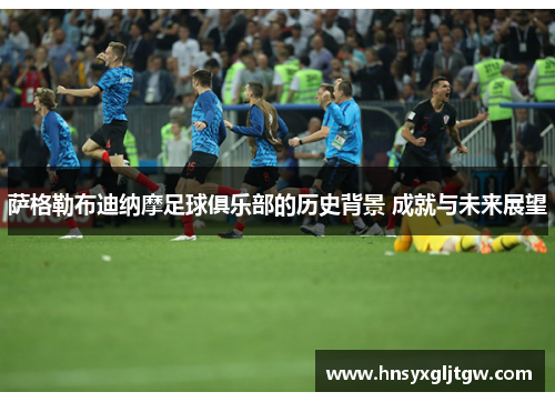 萨格勒布迪纳摩足球俱乐部的历史背景 成就与未来展望